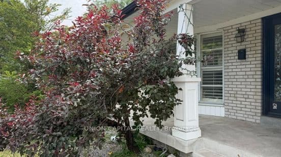465 Hounslow Avenue 3